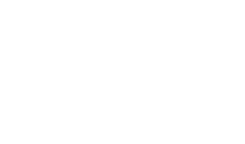Logo IUDLM
